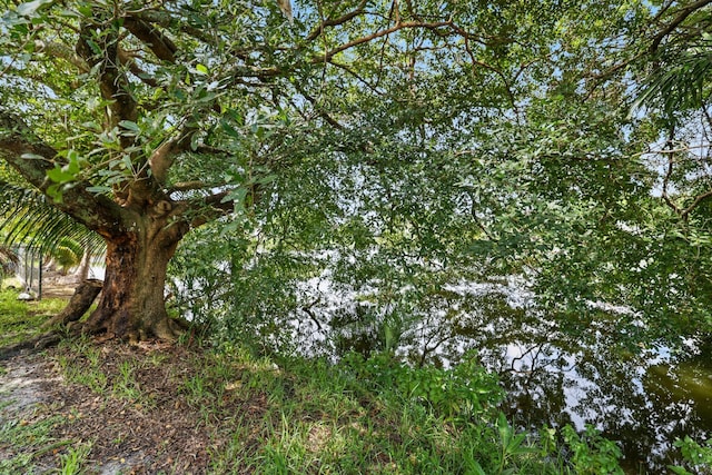 6009 Triphammer Rd, Lake Worth, FL 33463 - view of landscape