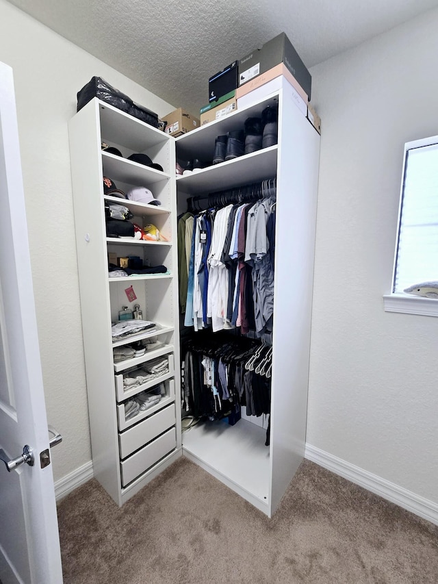 spacious closet featuring light colored carpet