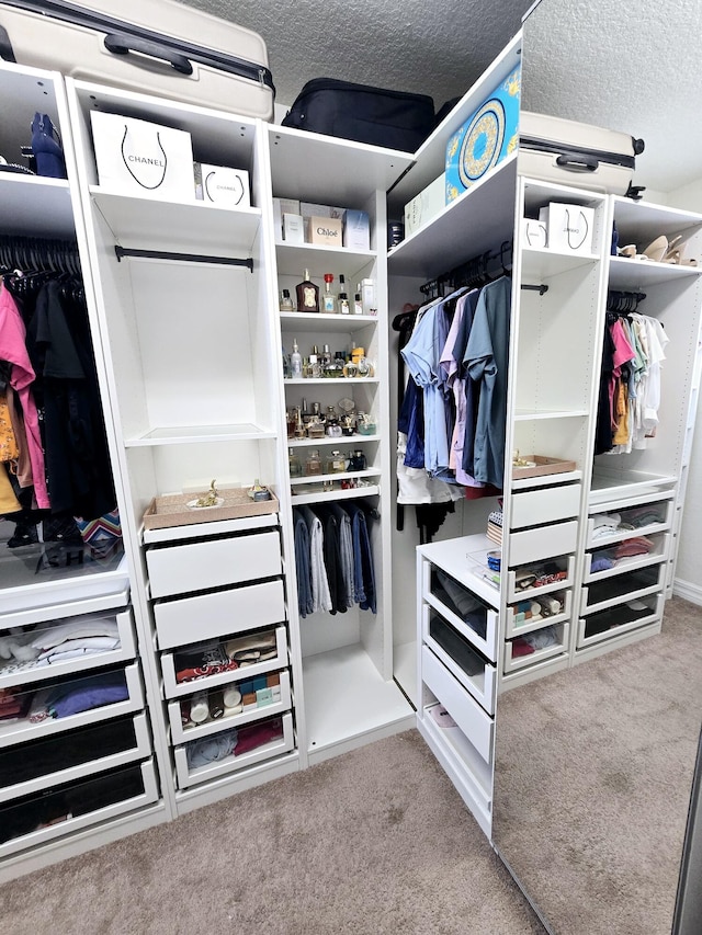 walk in closet featuring light colored carpet