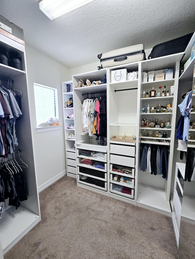 walk in closet featuring carpet flooring