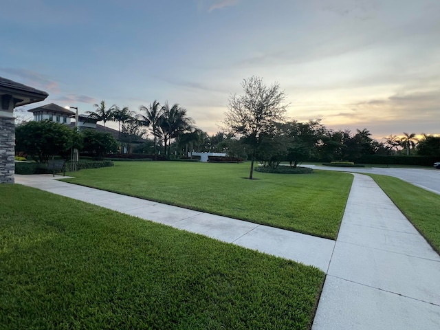 view of yard at dusk