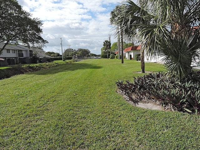 view of yard