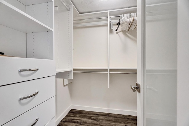 spacious closet with dark wood-type flooring