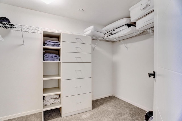 spacious closet featuring light colored carpet