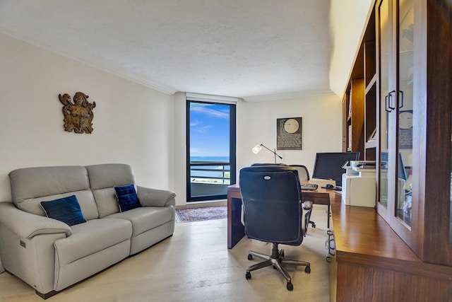 office area with expansive windows, ornamental molding, a textured ceiling, and light hardwood / wood-style floors