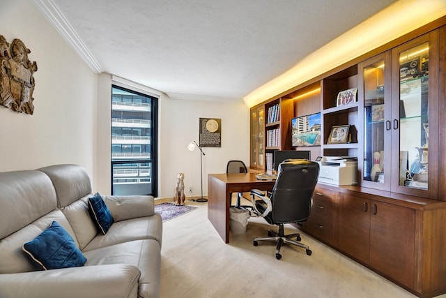 office featuring a textured ceiling and crown molding