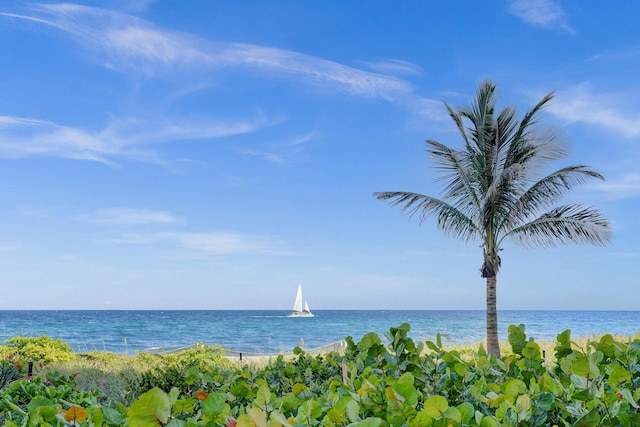 water view featuring a beach view