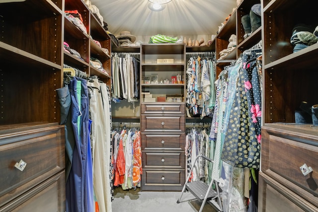 spacious closet featuring carpet