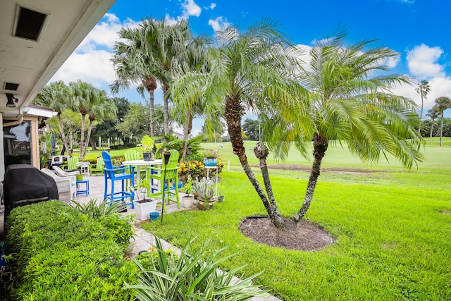 view of yard featuring a patio