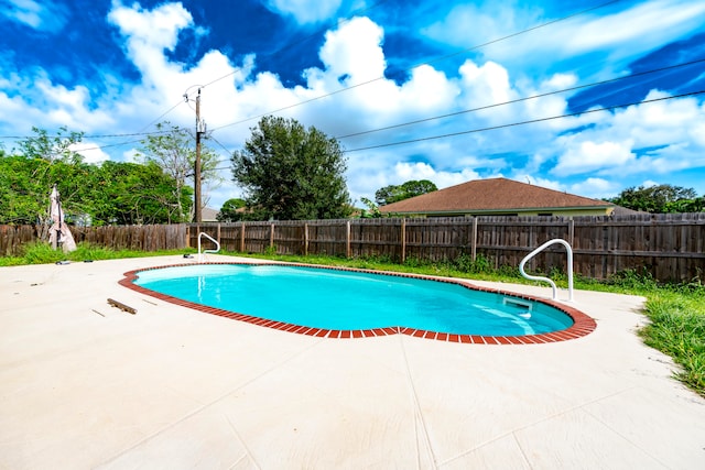 view of pool with a patio area