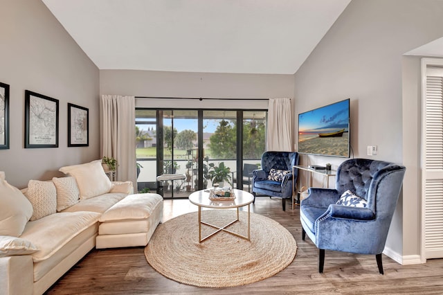 living room featuring wood-type flooring and high vaulted ceiling