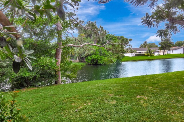 view of water feature