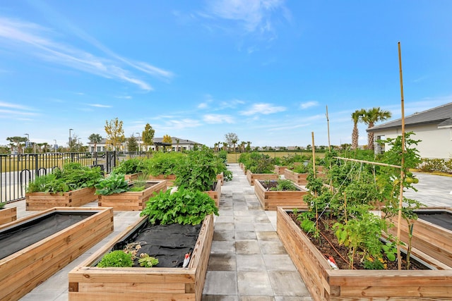 10571 SW Sunray St, Port Saint Lucie, FL 34987 - view of yard featuring a garden