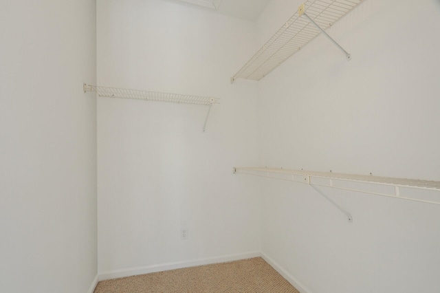 spacious closet with light carpet