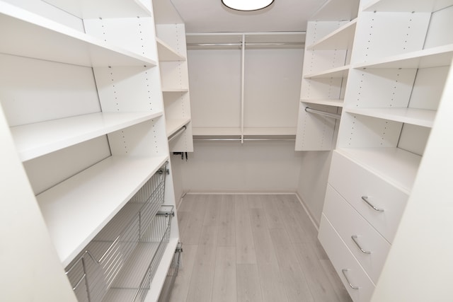 walk in closet featuring light wood-type flooring