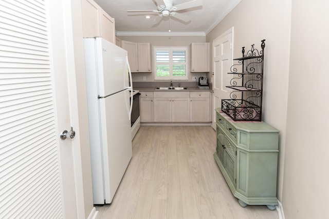 kitchen with light hardwood / wood-style floors, sink, ceiling fan, crown molding, and white appliances