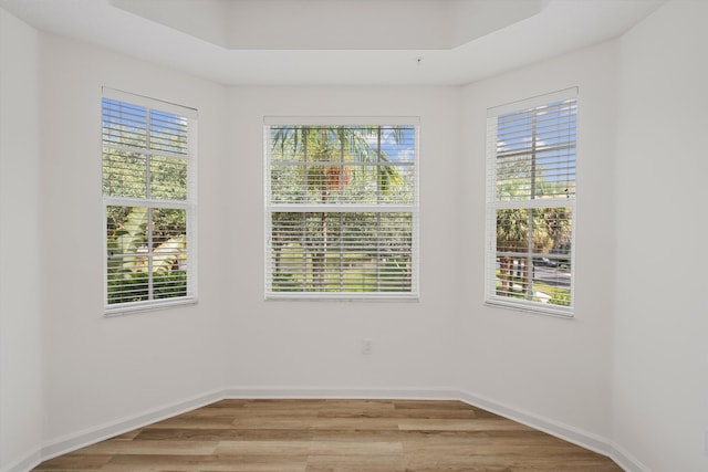 spare room featuring light hardwood / wood-style floors and a healthy amount of sunlight