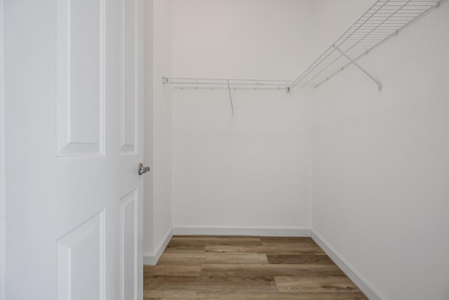 spacious closet with wood-type flooring