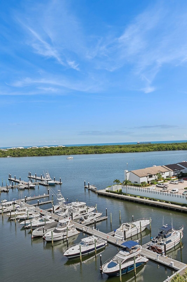 dock area with a water view