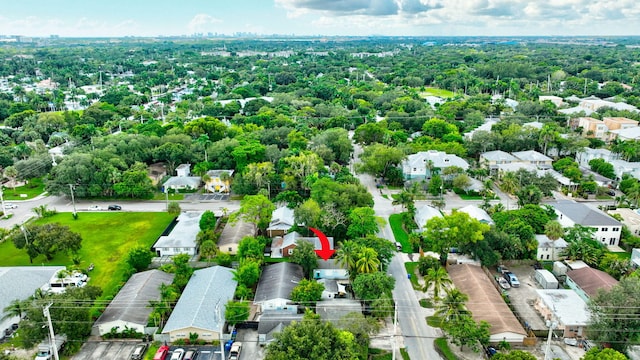 bird's eye view