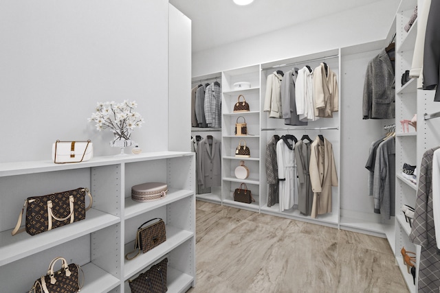 view of walk in closet