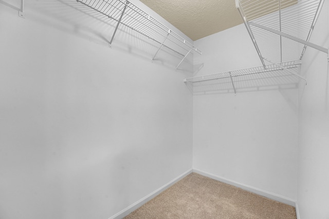 walk in closet featuring carpet