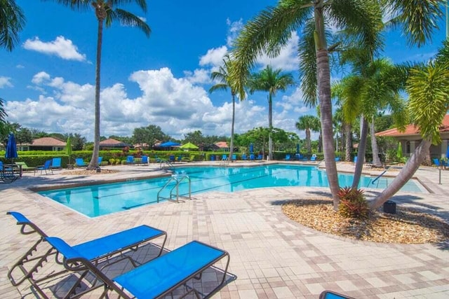 view of pool featuring a patio area