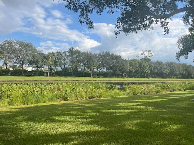 surrounding community featuring a lawn