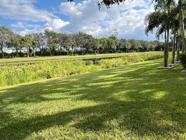 view of yard with a rural view