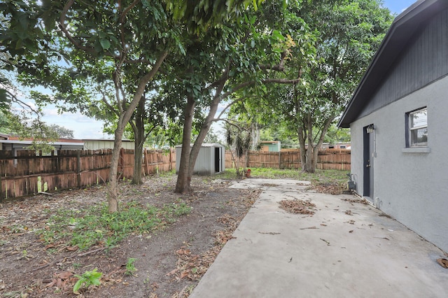 view of yard featuring a storage unit and a patio area