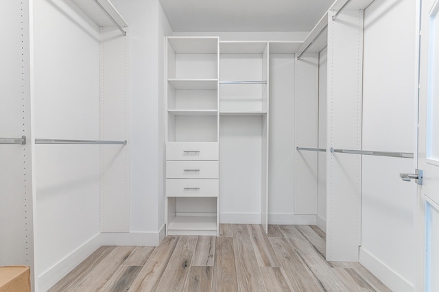 spacious closet with light wood-type flooring