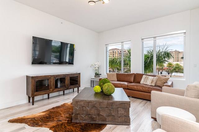 living room with light wood-type flooring