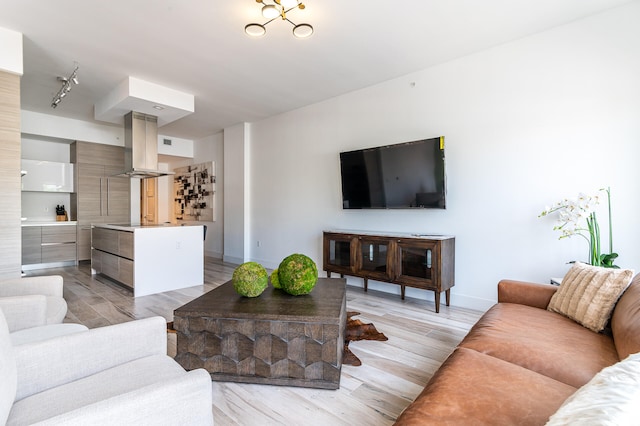 living room featuring rail lighting and light hardwood / wood-style floors