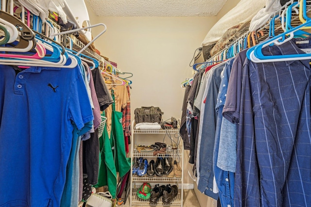 view of walk in closet