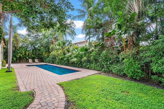 view of pool with a lawn and a patio area