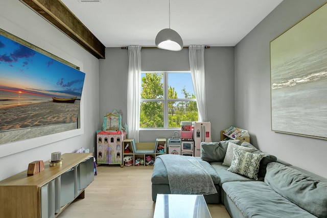 living room featuring light hardwood / wood-style flooring