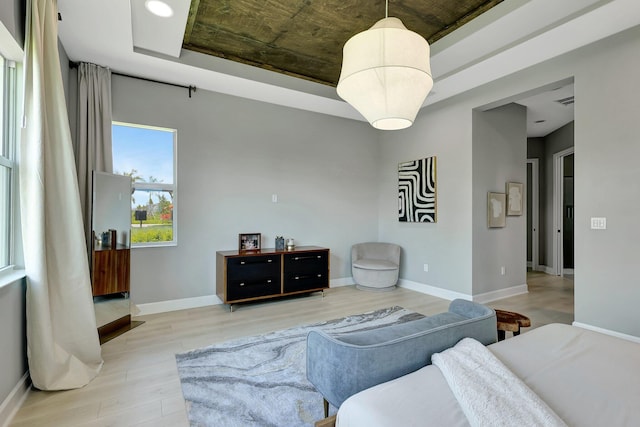 living room with light hardwood / wood-style floors and a tray ceiling