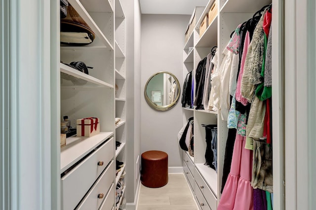 spacious closet featuring light wood-type flooring