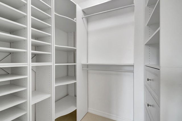 view of spacious closet