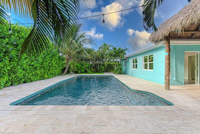 view of swimming pool with a patio