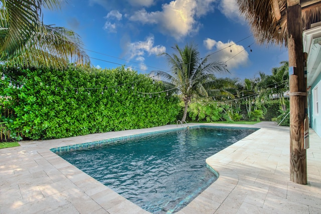 view of pool featuring a patio