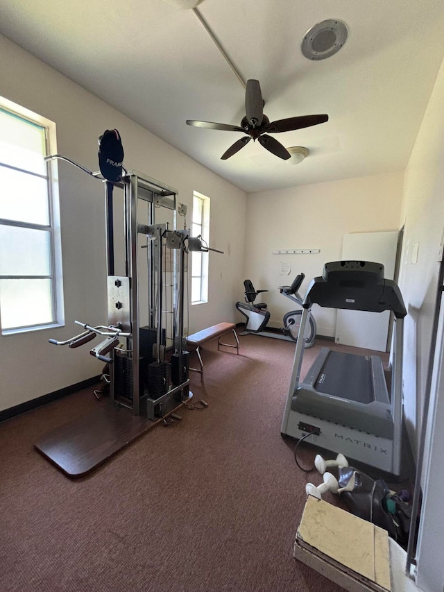 exercise room featuring carpet, a wealth of natural light, and ceiling fan