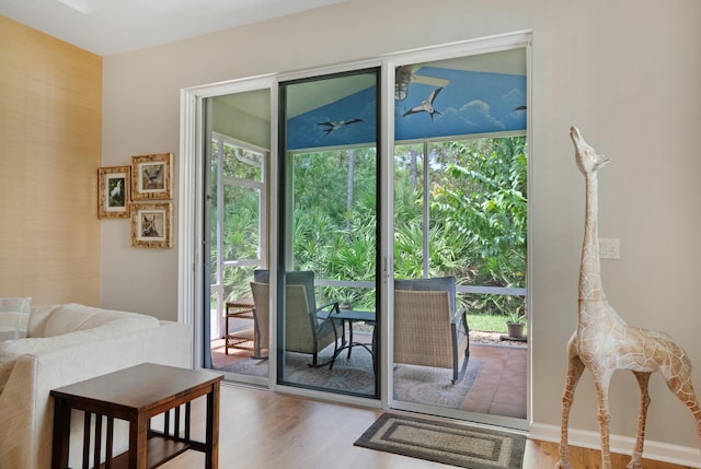 doorway to outside featuring wood-type flooring