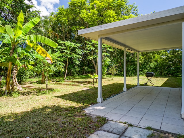 view of yard featuring a patio area