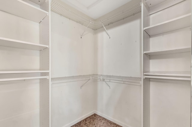 walk in closet featuring carpet flooring