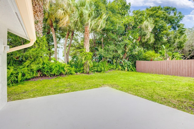 view of yard with a patio area