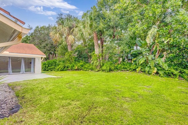 view of yard with a patio