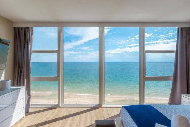 entryway featuring a wealth of natural light, a water view, wood-type flooring, and a view of the beach