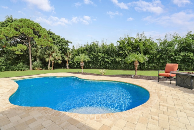 view of pool with a yard and a patio area