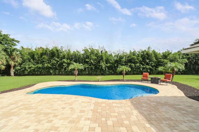 view of pool featuring a patio and a yard